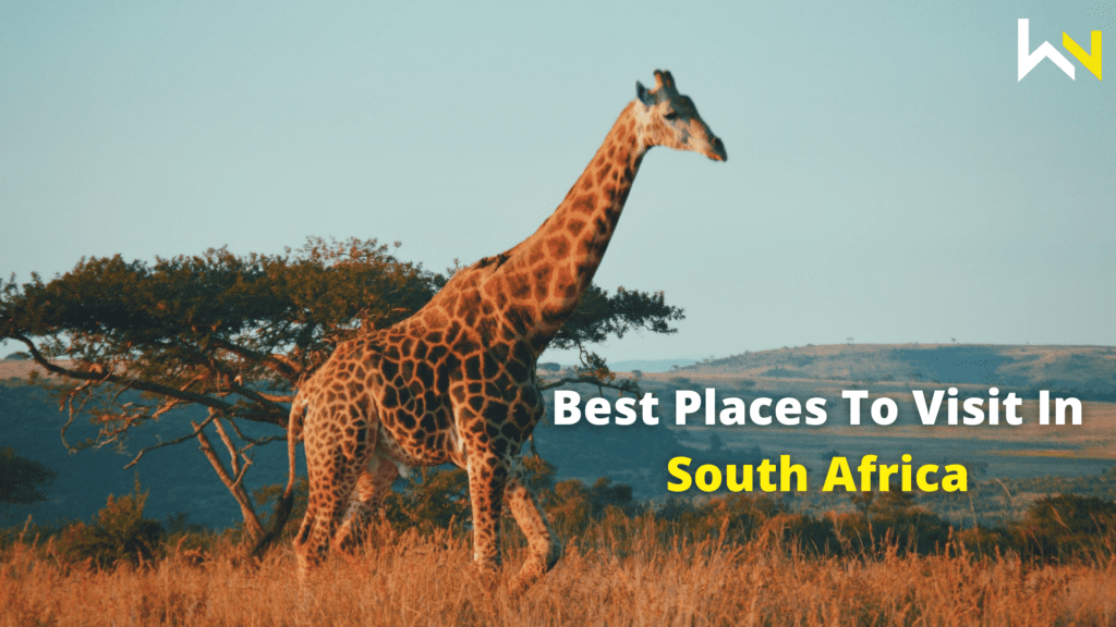 Best Places To Visit In South Africa | Travel | Discover | WeirdNotion